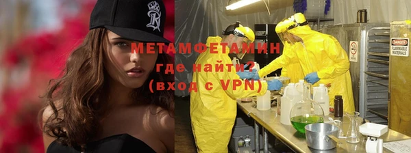 прущие грибы Новодвинск