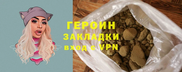 прущие грибы Новодвинск