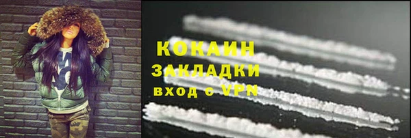 хмурый Новозыбков