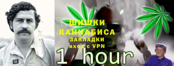 хмурый Новозыбков