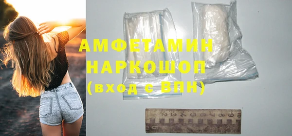 прущие грибы Новодвинск