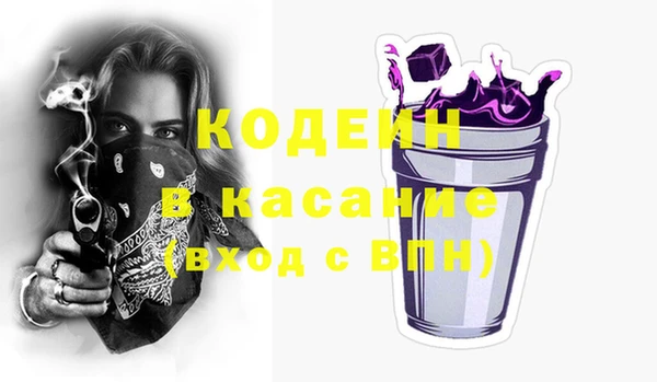 хмурый Новозыбков