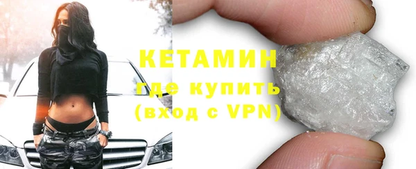 прущие грибы Новодвинск