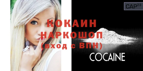 прущие грибы Новодвинск
