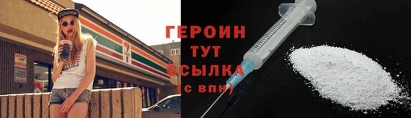 прущие грибы Новодвинск