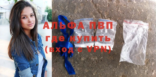 прущие грибы Новодвинск