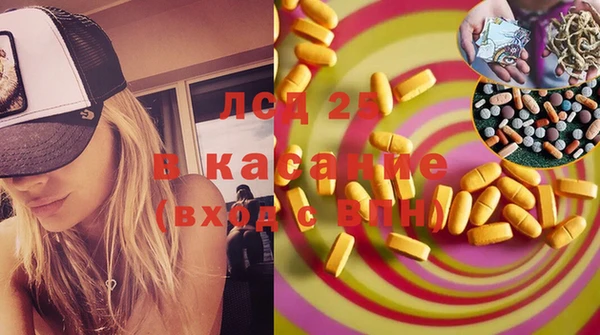 хмурый Новозыбков