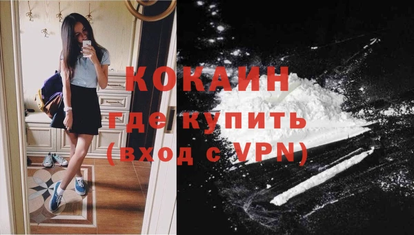 хмурый Новозыбков
