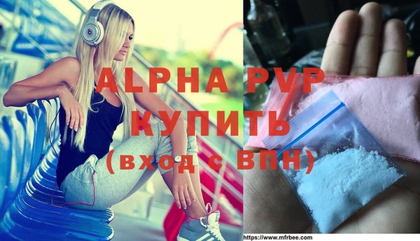 хмурый Новозыбков