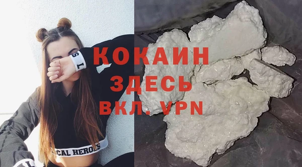 хмурый Новозыбков
