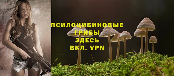 прущие грибы Новодвинск