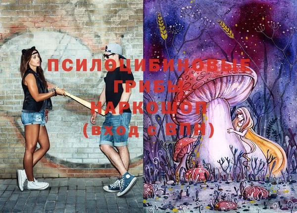 хмурый Новозыбков