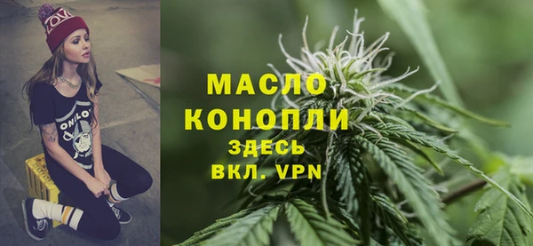 прущие грибы Новодвинск