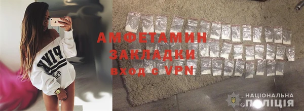 прущие грибы Новодвинск