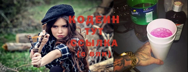 прущие грибы Новодвинск