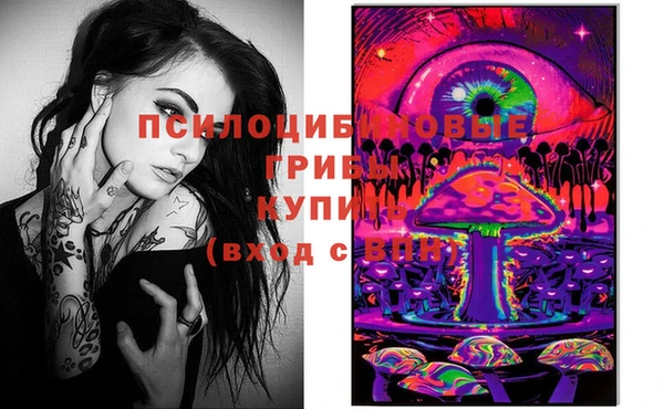 хмурый Новозыбков