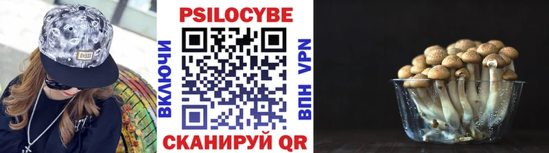 как найти наркотики  Горячеводский  mega tor  Псилоцибиновые грибы Psilocybine cubensis 