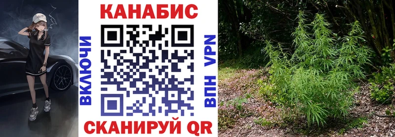 Канабис гибрид  Горячеводский 